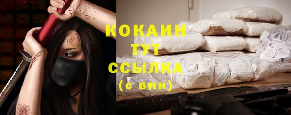 прущие крисы Балахна