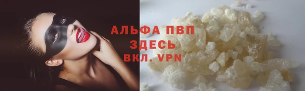 a pvp Баксан