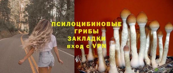 spice Балабаново