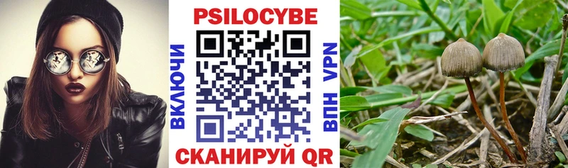 мега зеркало  Голицыно  Галлюциногенные грибы ЛСД 