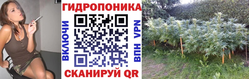 что такое наркотик  Голицыно  Бошки марихуана OG Kush 